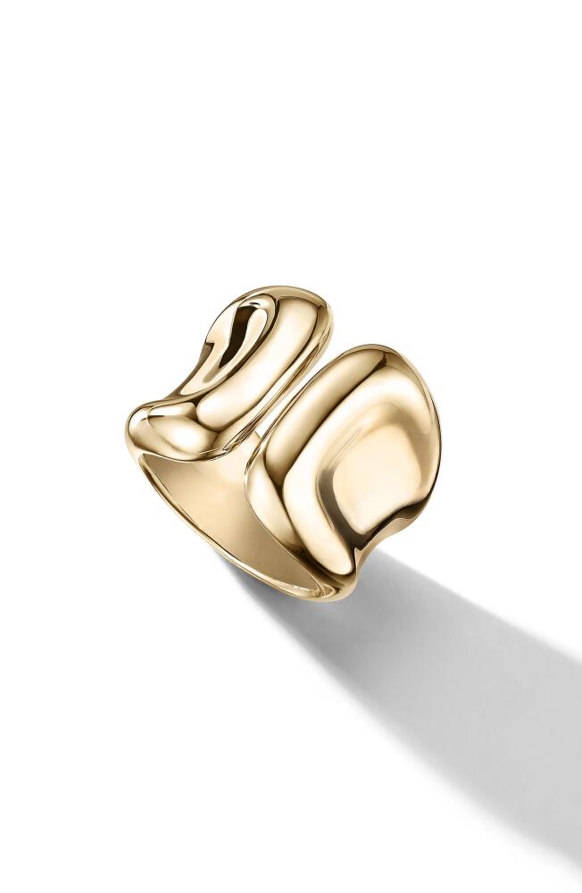 Cast The Uncommon Ring in Gold Cover