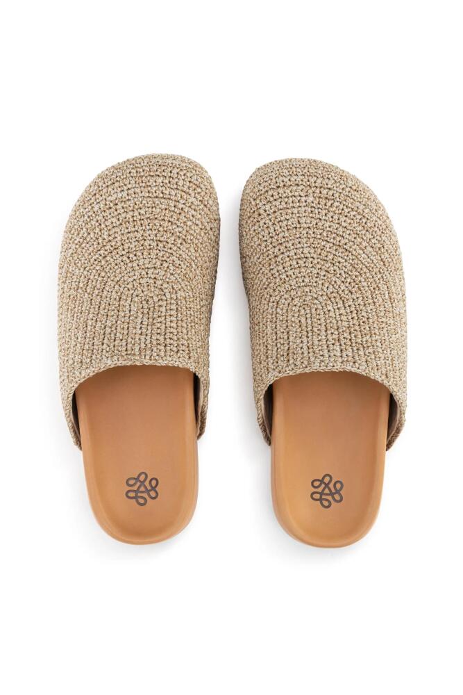 The Sak Bolinas Clog in Bamboo Static Cover