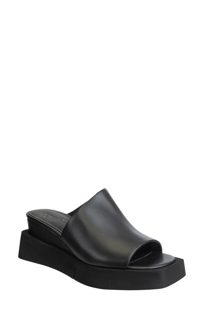 Naked Feet Infinity Wedge Slide Sandal in Black Cover