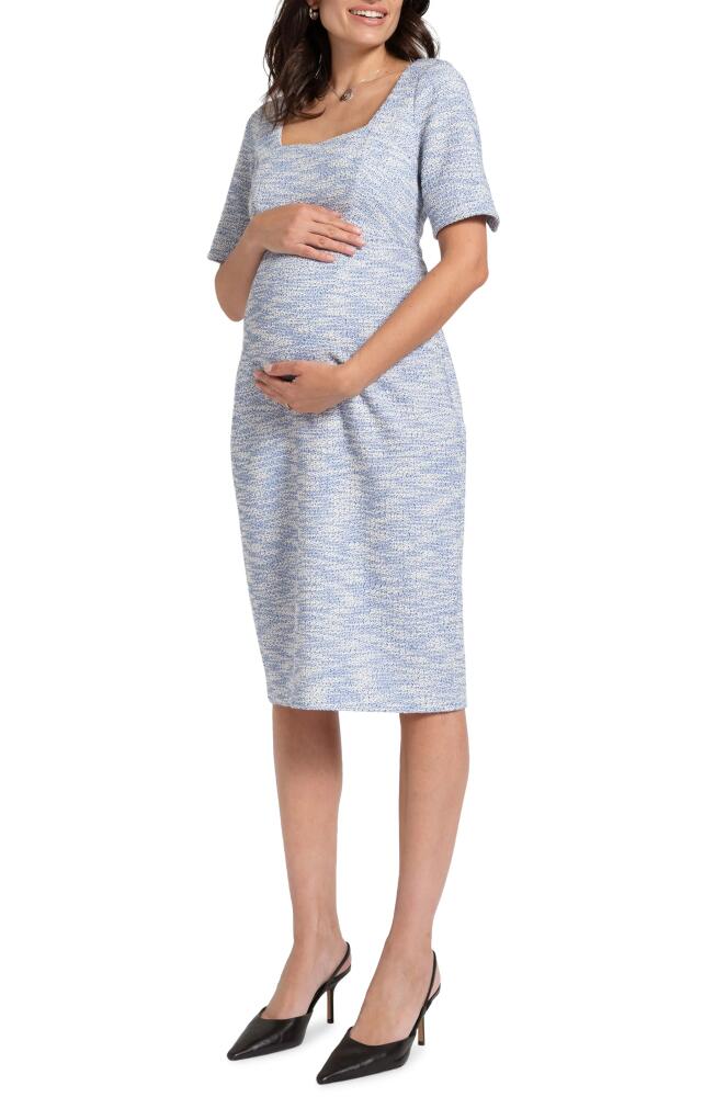 Seraphine Tweed Maternity Dress in Blue Cover