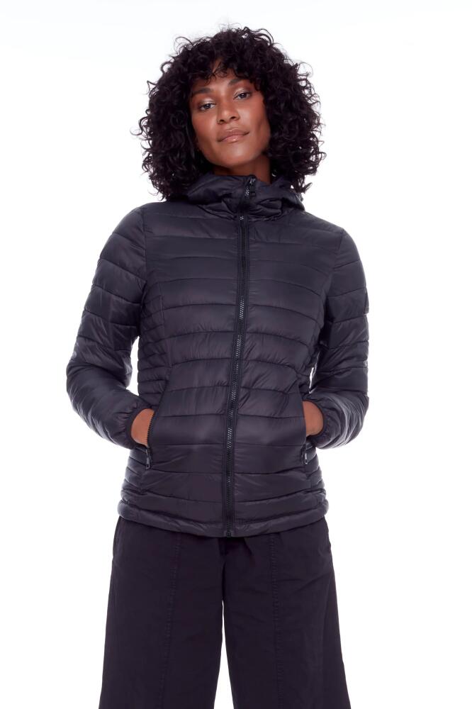 Alpine North YOHO LADIES - Vegan Down Lightweight Packable Puffer Jacket & Bag in Black Cover