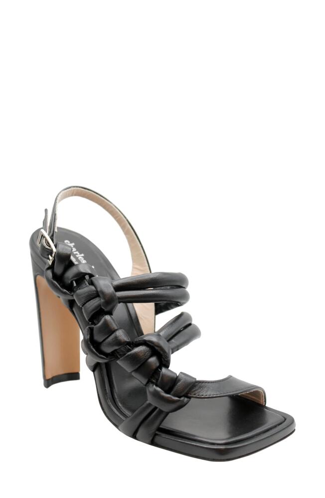 Charles David Lonestar Knotted Sandal in Black Cover