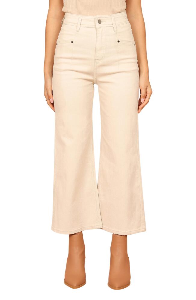 Petal & Pup Georgette High Waist Bootcut Pants in Beige Cover