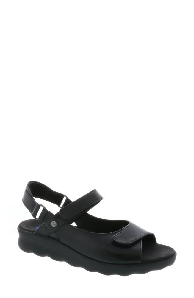 Wolky Pichu Quarter Strap Sandal in Black Leather Cover