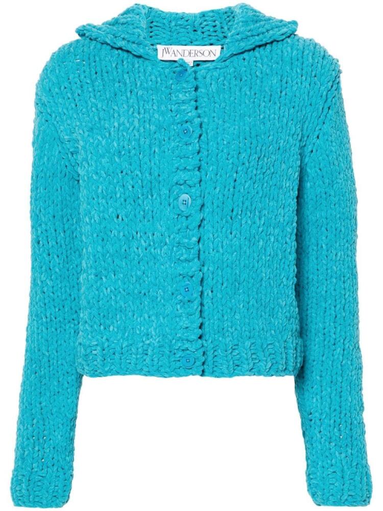 JW Anderson chunky-knit cardigan - Blue Cover