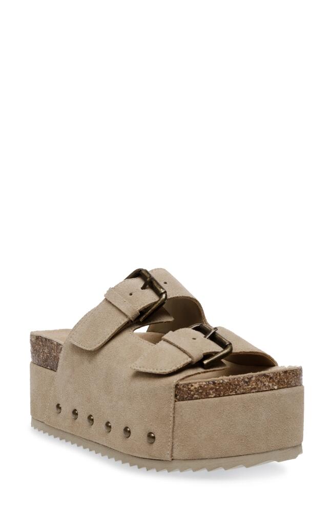 Steve Madden Kali Platform Sandal in Taupe Suede Cover