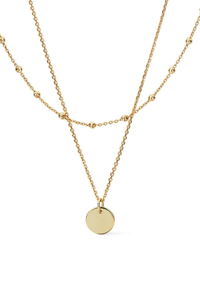 Ana Luisa Coin Necklace Set - Willow Silver in Gold Cover