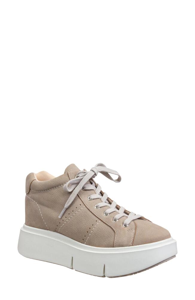 Naked Feet Essex High Top Sneaker in Greige Cover