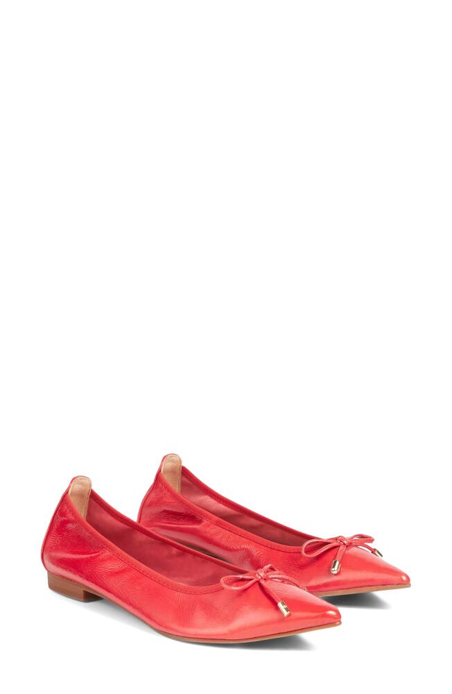 LK Bennett Tilly Pointed Toe Ballet Flat in Raspberry Cover