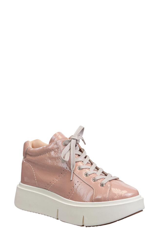 Naked Feet Essex High Top Sneaker in Rosette Cover