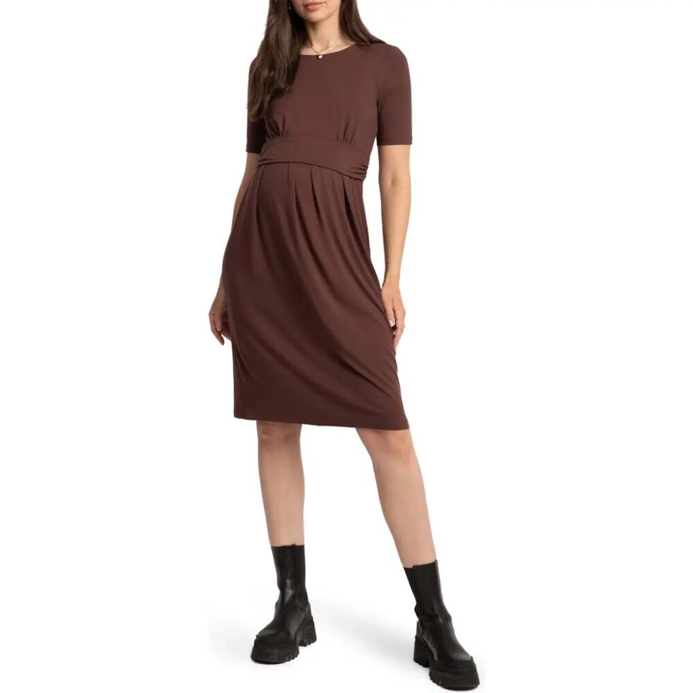 Seraphine Pleat Detail Maternity/Nursing Dress in Chocolat Cover