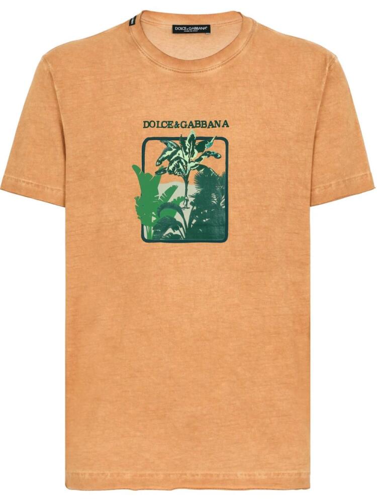 Dolce & Gabbana leaf-print cotton T-shirt - Orange Cover