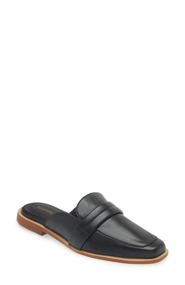 Kaanas Square Toe Mule in Black Cover