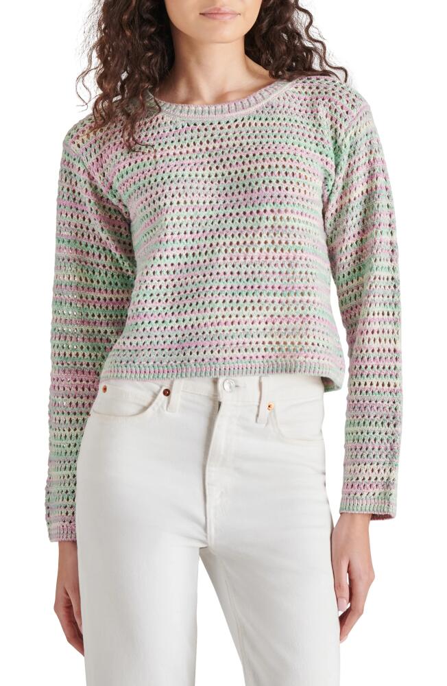 Steve Madden Delicia Open Stitch Sweater in Multi Cover