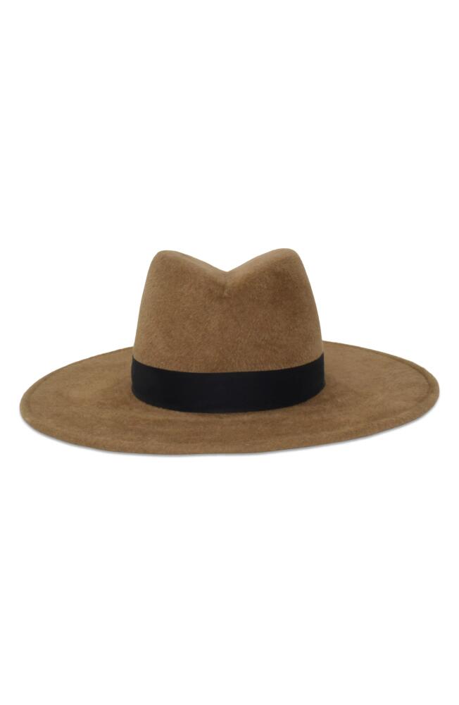 Gigi Burris Millinery Jeanne Velour Felt Fedora in Pecan And Black Cover