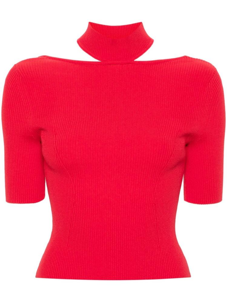 Cult Gaia Brianna ribbed knitted top - Red Cover