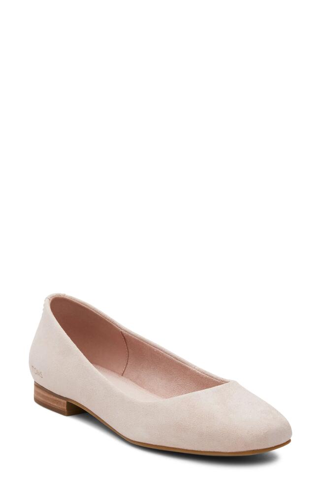 TOMS Briella Ballet Flat in Pink Cover