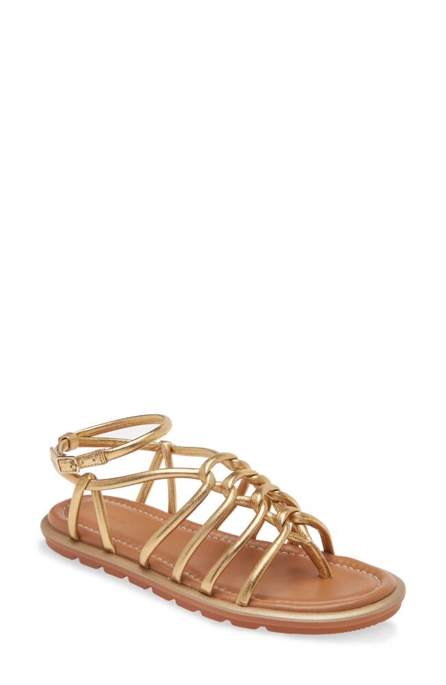 Nordstrom Beatris Ankle Strap Sandal in Gold Metallic Cover