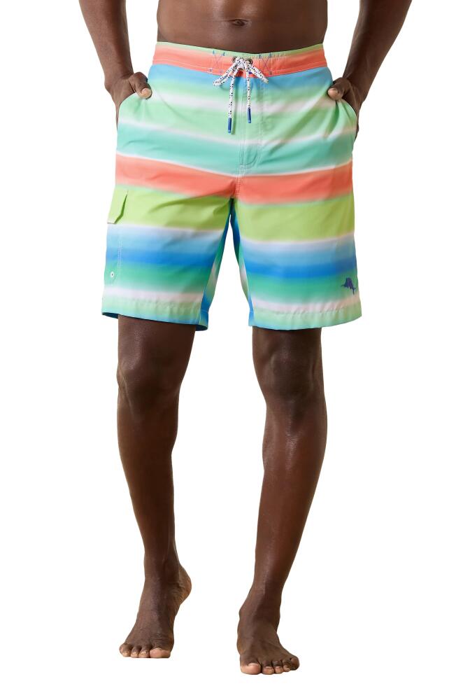 Tommy Bahama Baja Hazy Tides Board Shorts in Plunge Blue Cover