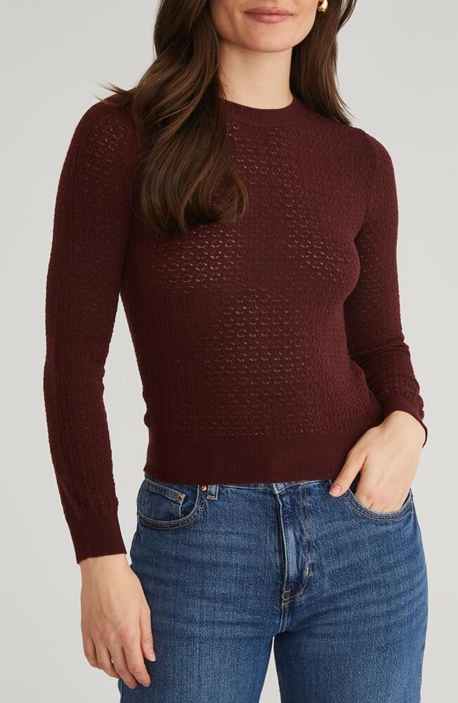 525 Holly Pointelle Stitch Top in Oxblood Cover