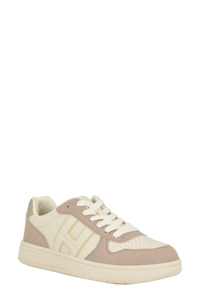 Tommy Hilfiger Veniz Sneaker in Taupe Cover