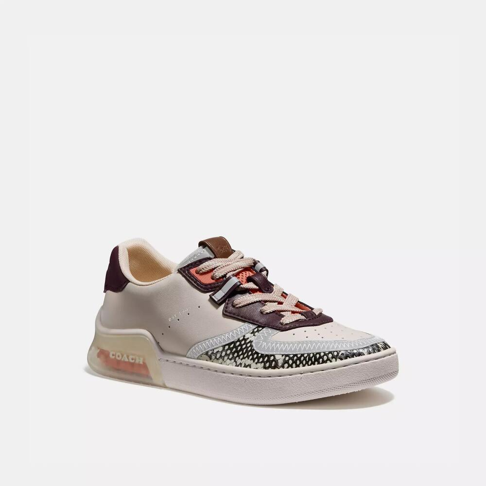 Coach Citysole Court Sneaker In Snakeskin Cover