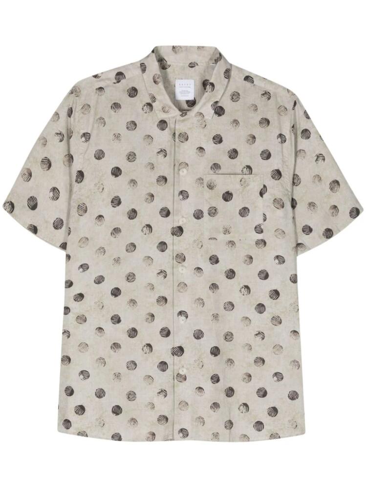 Xacus Legacy polka-dot shirt - Grey Cover