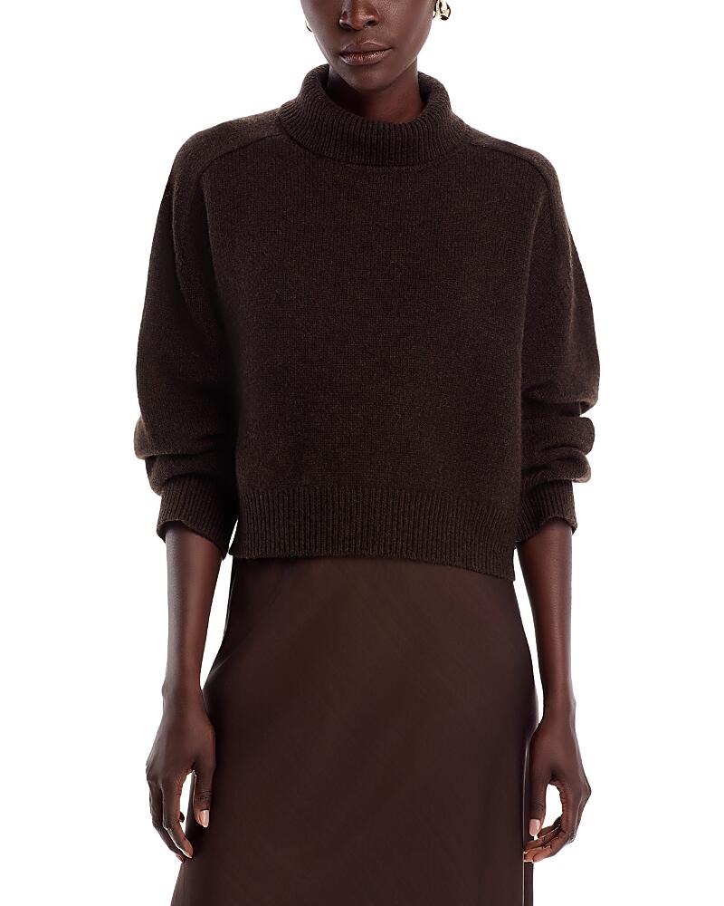 Vanessa Bruno Ballerine Turtleneck Sweater Cover