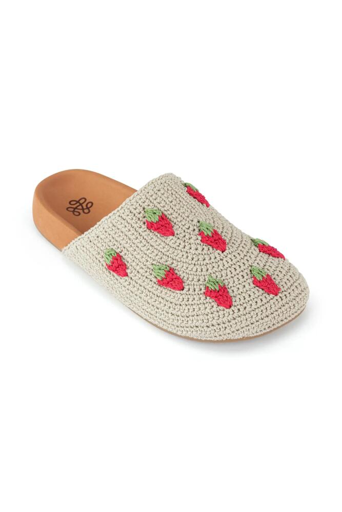 The Sak Bolinas Clog in Natural Strawberries Cover