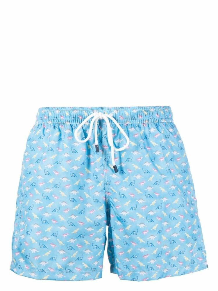 Fedeli dinosaur-print swim shorts - Blue Cover