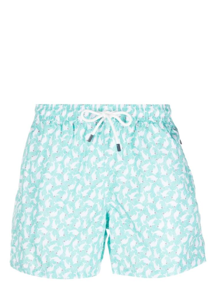 Fedeli Madeira seal-print swim shorts - Green Cover