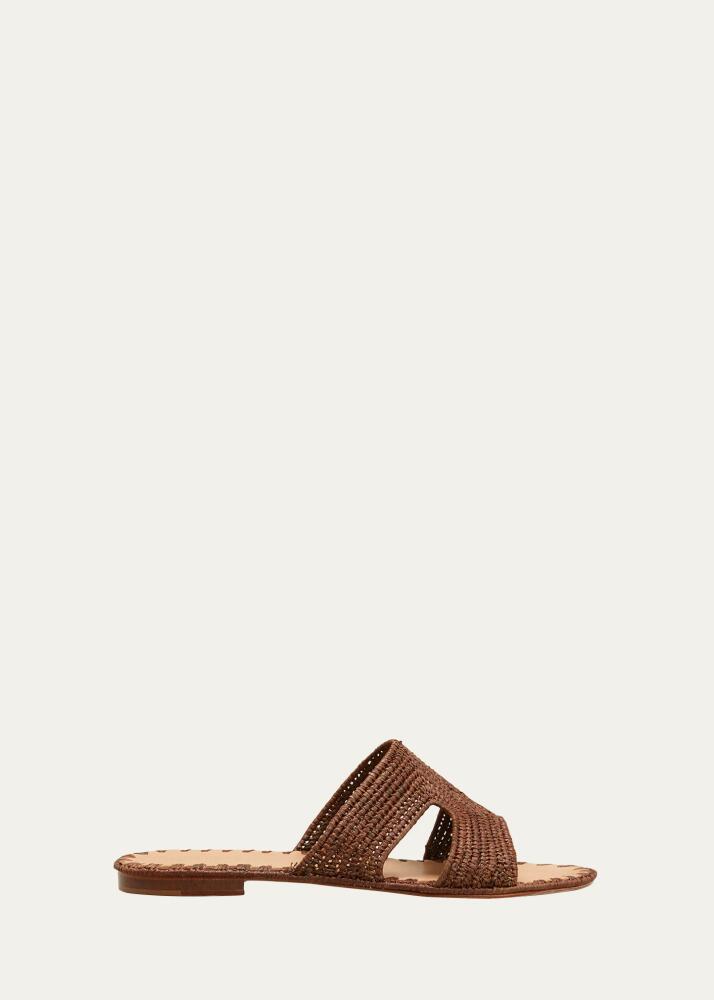 Carrie Forbes Cuadro Raffia Flat Slide Sandals Cover