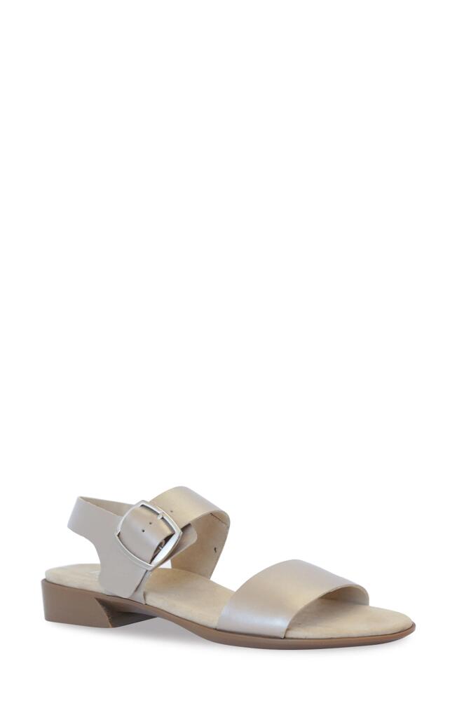 Munro Cleo Sandal - Multiple Widths Available in Taupe Metallic Cover