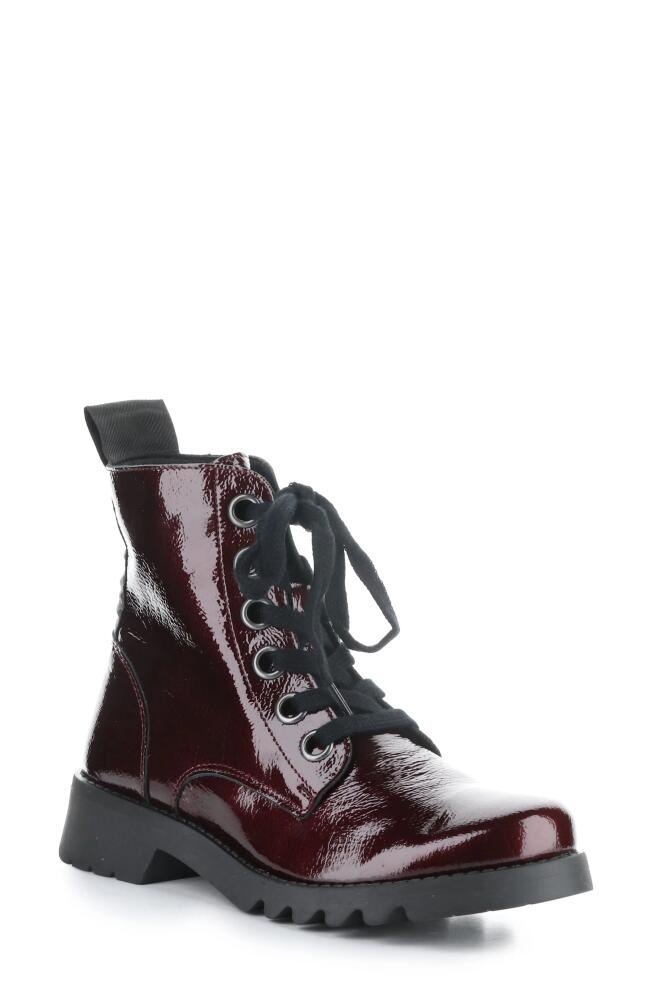 Fly London Ragi Combat Boot in 043 Burgundy Rock Cover