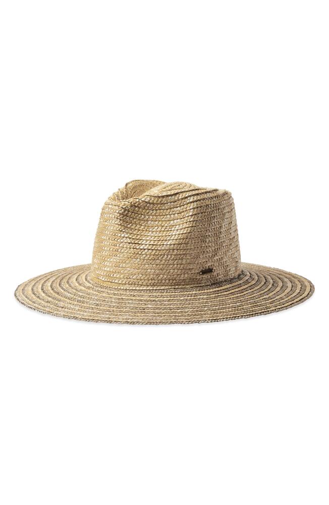 Brixton Joanna Festival Straw Hat in Honey/Sand Cover