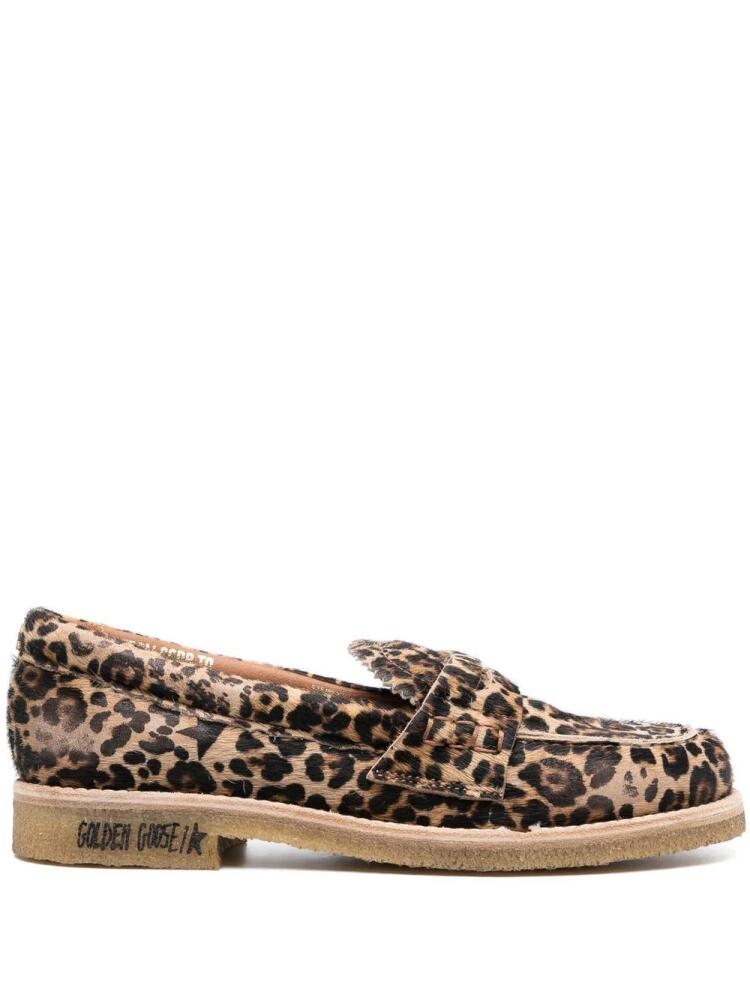 Golden Goose leopard-print round-toe loafers - Brown Cover