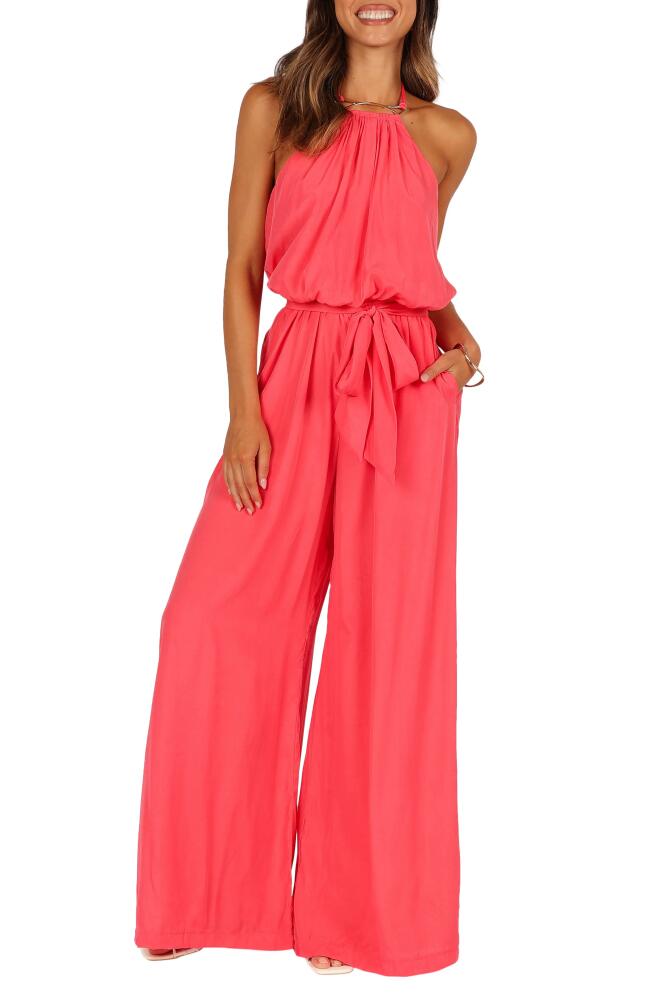 Petal & Pup Dionne Halter Jumpsuit in Flamingo Cover