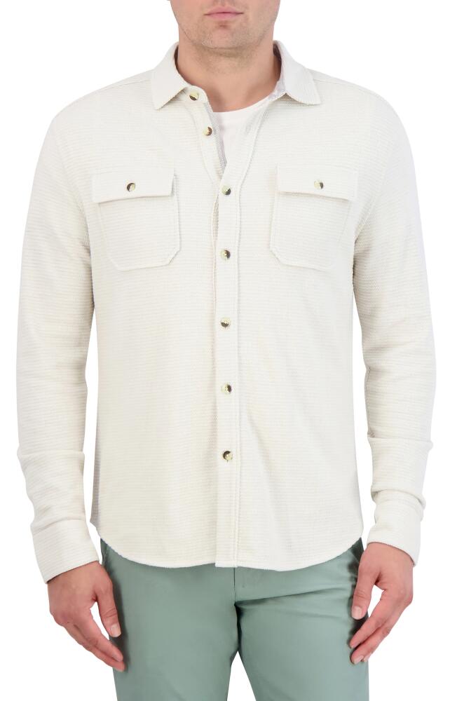 Robert Graham Brunner Knit Button-Up Shirt in Offwhite Cover