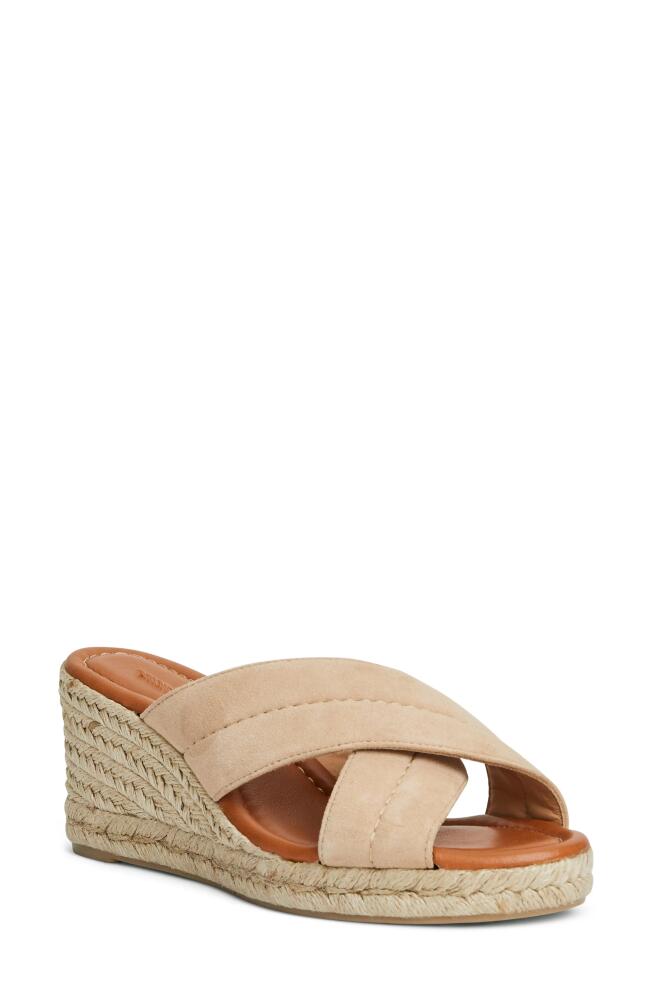 Bruno Magli Eva Espadrille Platform Wedge Slide Sandal in Sand Suede Cover