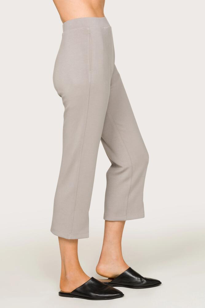 ALALA Phoebe Crop Pant in Stone Cover