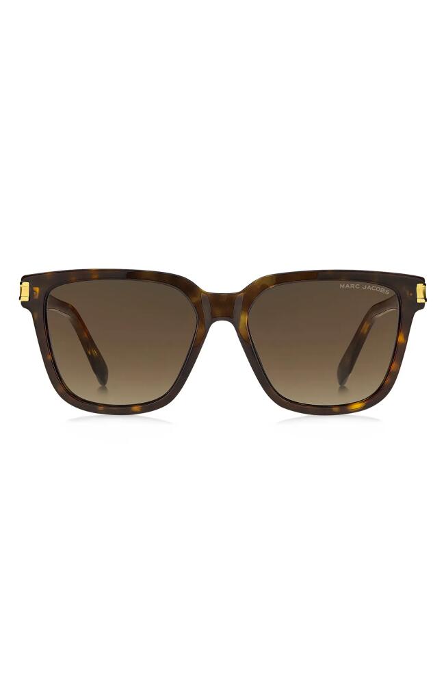 Marc Jacobs 57mm Square Sunglasses in Havana /Brown Gradient Cover