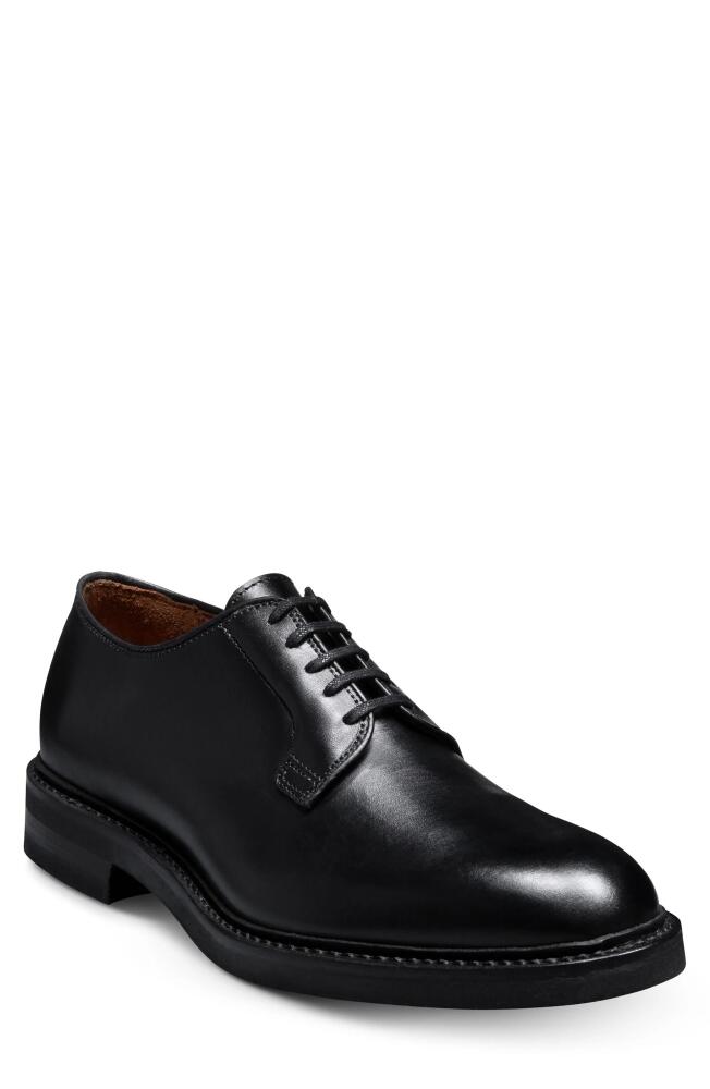 Allen Edmonds Drake Derby in Black Cover