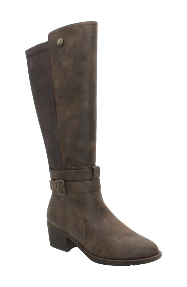 Volatile Filmore Knee High Boot in Brown Cover