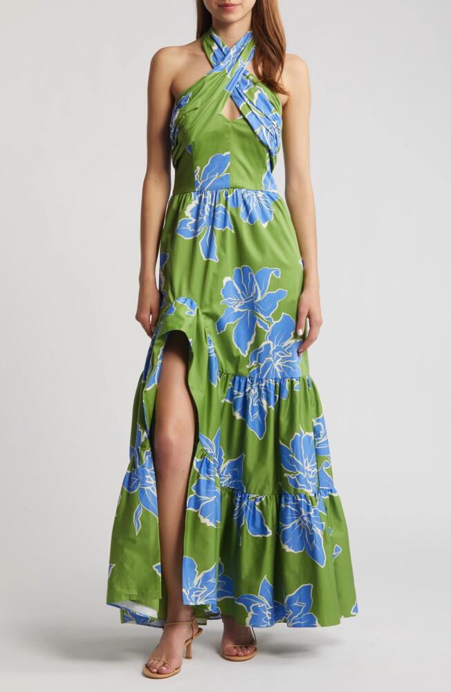 Hutch Floral Stretch Cotton Halter Maxi Dress in Green Floral Cover