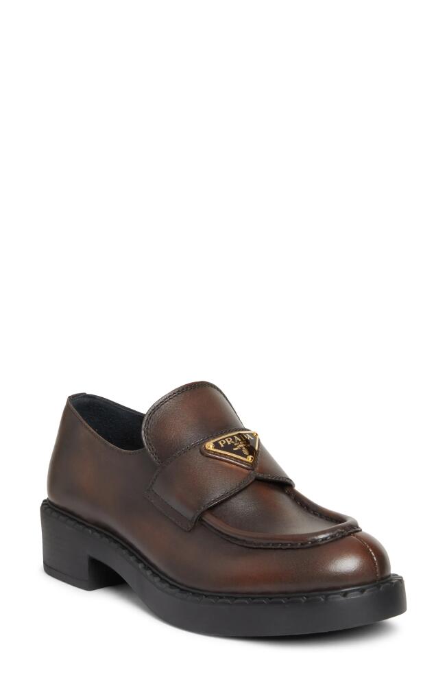 Prada Moc Toe Loafer in Moro Cover