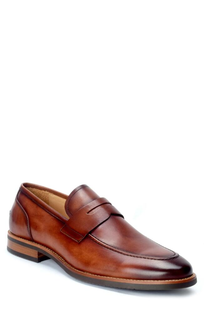 Warfield & Grand Camino Penny Loafer in Cognac Cover