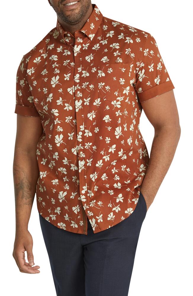 Johnny Bigg Tyler Floral Stretch Short Sleeve Button-Down Shirt in Rust Cover