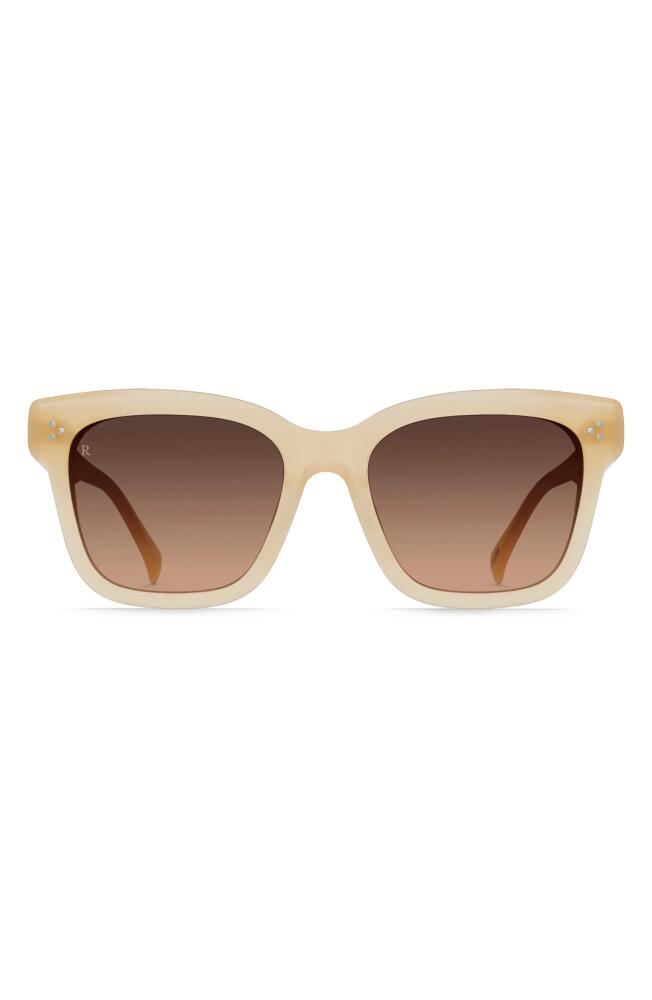 RAEN Breya 54mm Square Sunglasses in Nectar/Apricot Gradient Cover