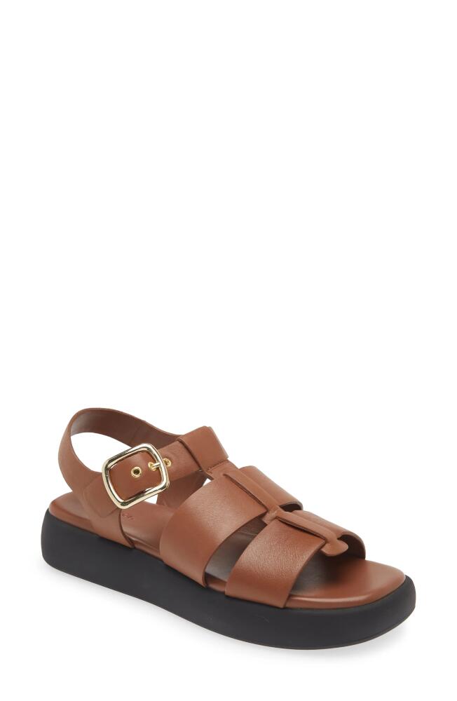 Nordstrom Avea Platform Fisherman Sandal in Rust Argan Oil Cover