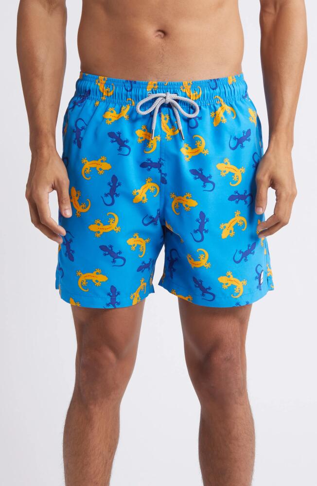 Tom & Teddy Gecko Print Performance Swim Trunks in Blue/Orange Cover